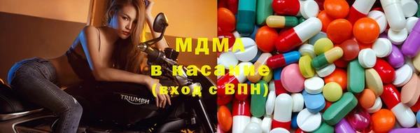 хмурый Абаза