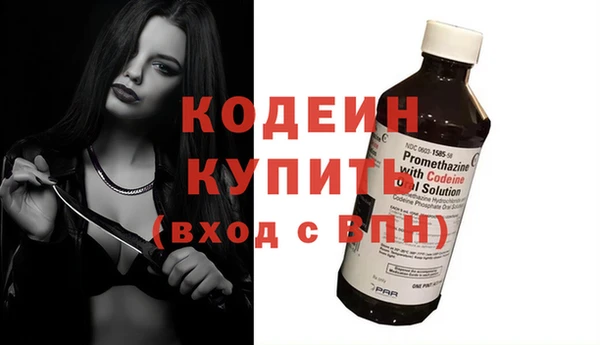 хмурый Абаза