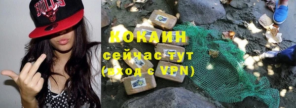 хмурый Абаза