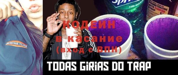 хмурый Абаза