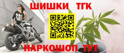 ГАЛЛЮЦИНОГЕННЫЕ ГРИБЫ Кингисепп