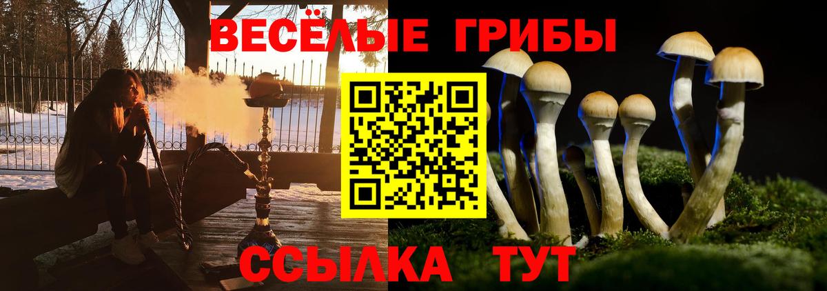Псилоцибиновые грибы мицелий Котлас