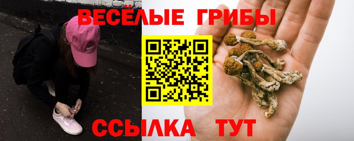 Котлас  Псилоцибиновые грибы MAGIC MUSHROOMS  Вход с VPN 